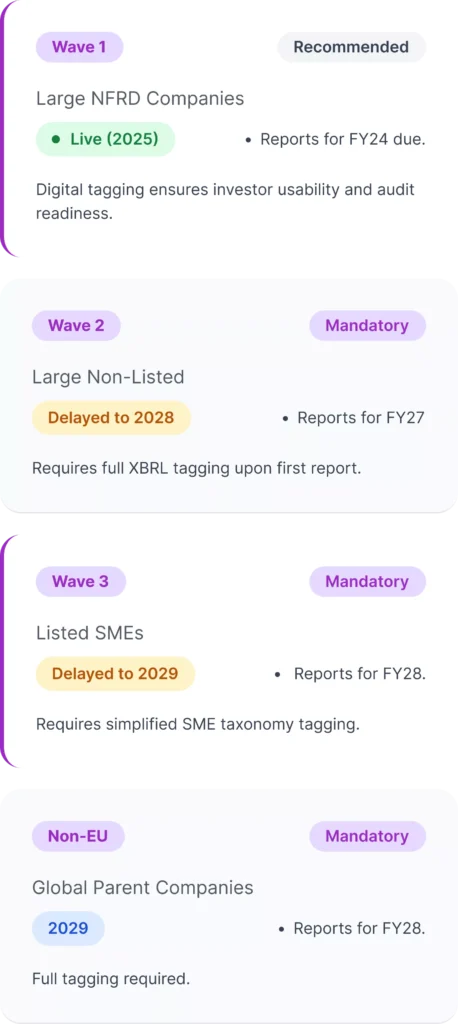 Revised Digital Rollout Schedule